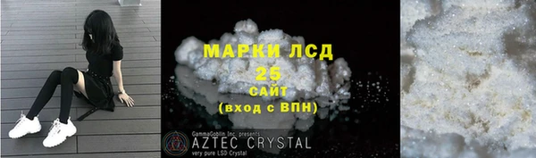 сатива Беломорск