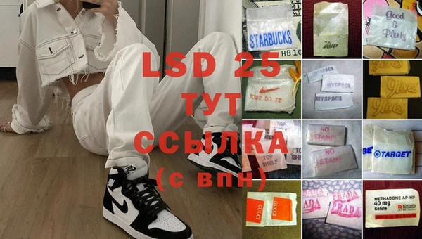 сатива Беломорск