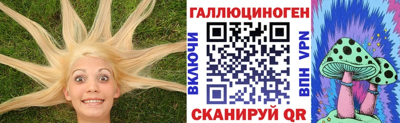 Купить закладки  Обнинск  Галлюциногенные грибы мухоморы 